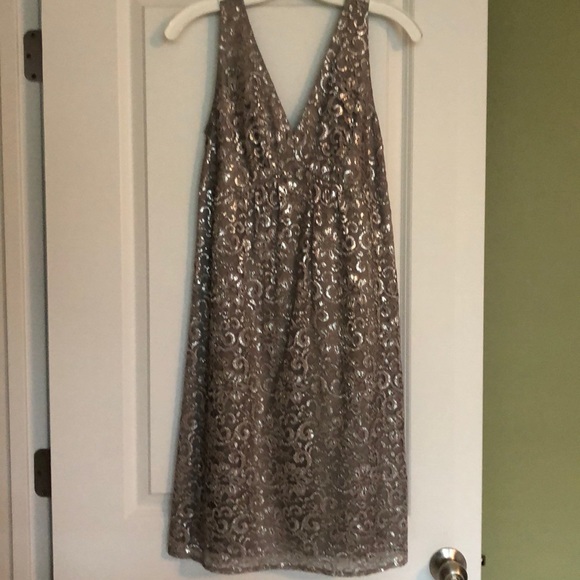 The Limited Dresses & Skirts - The Limited Silver and Gray Vneck Dress